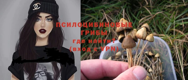 сатива Вязьма