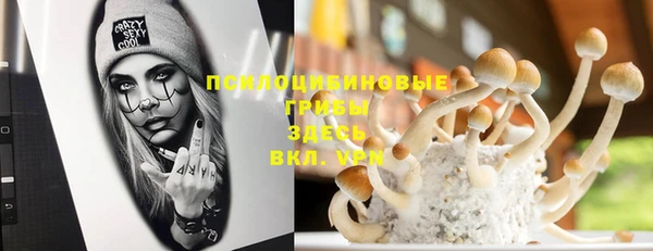 сатива Вязьма