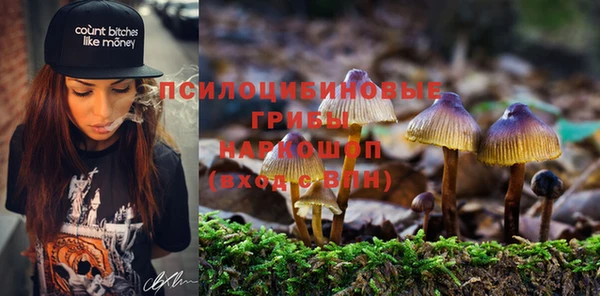 прущий лед Вяземский
