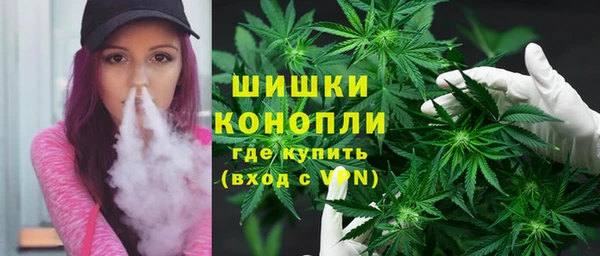 сатива Вязьма