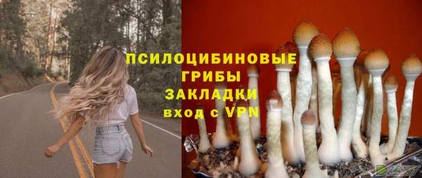 сатива Вязьма