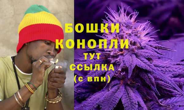 прущий лед Вяземский