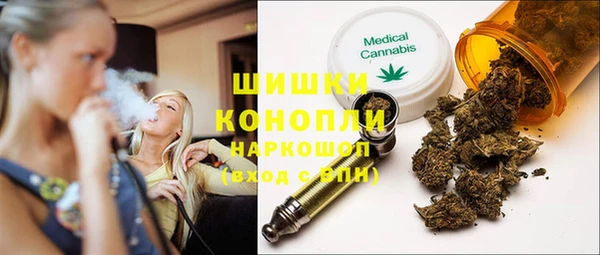 прущий лед Вяземский