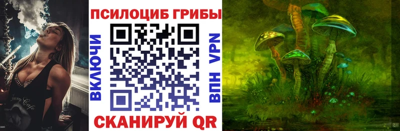 купить наркоту Кызыл Галлюциногенные грибы мухоморы